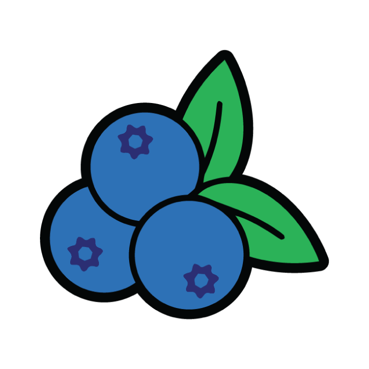 Blueberry